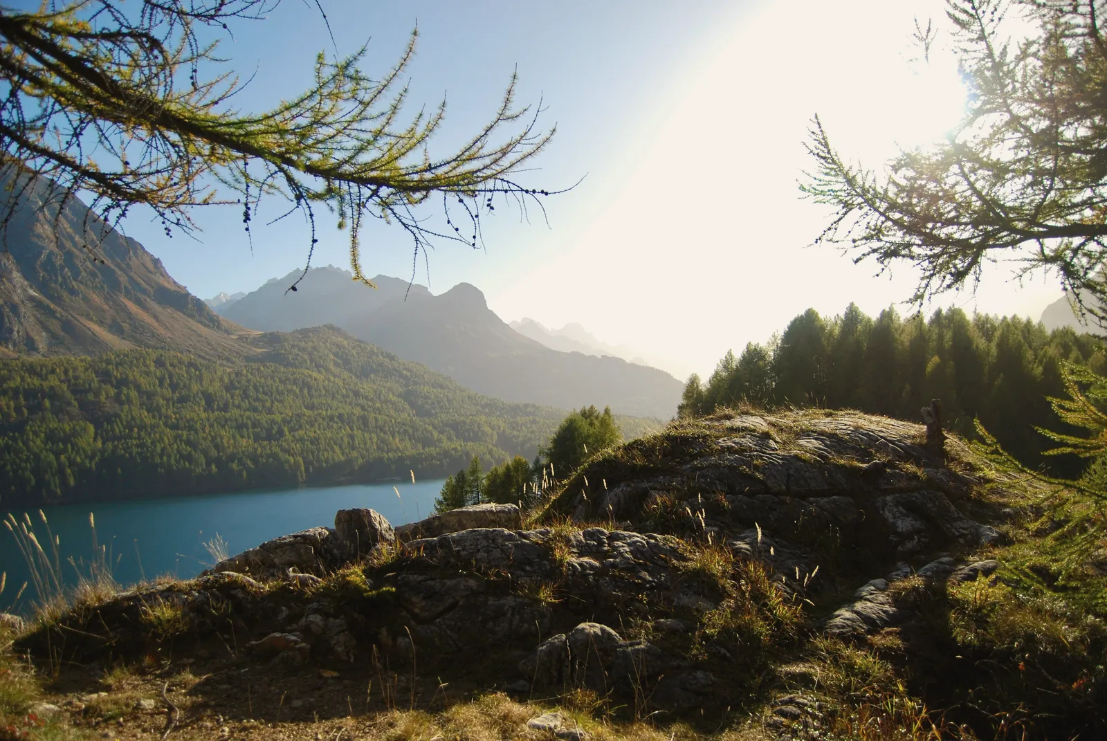 Larici d'autunno sopra un lago engadinese