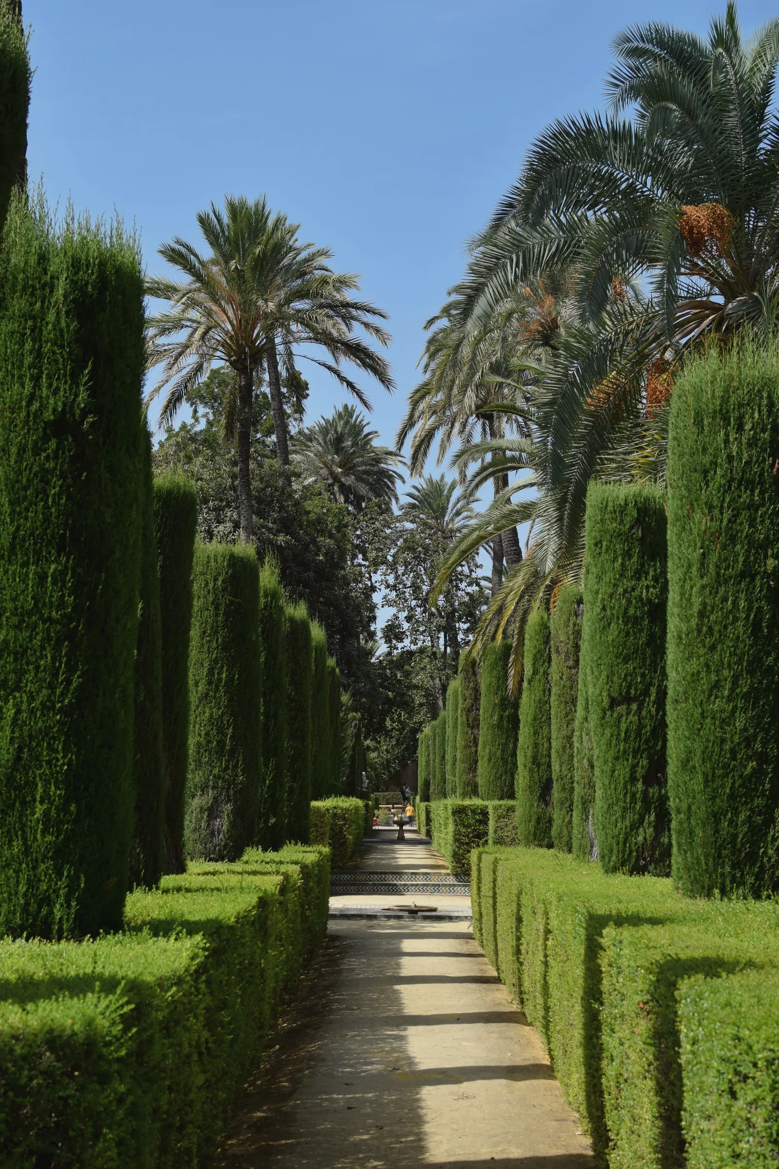 Zypressengang mit Palmen in einem Garten in Sevilla