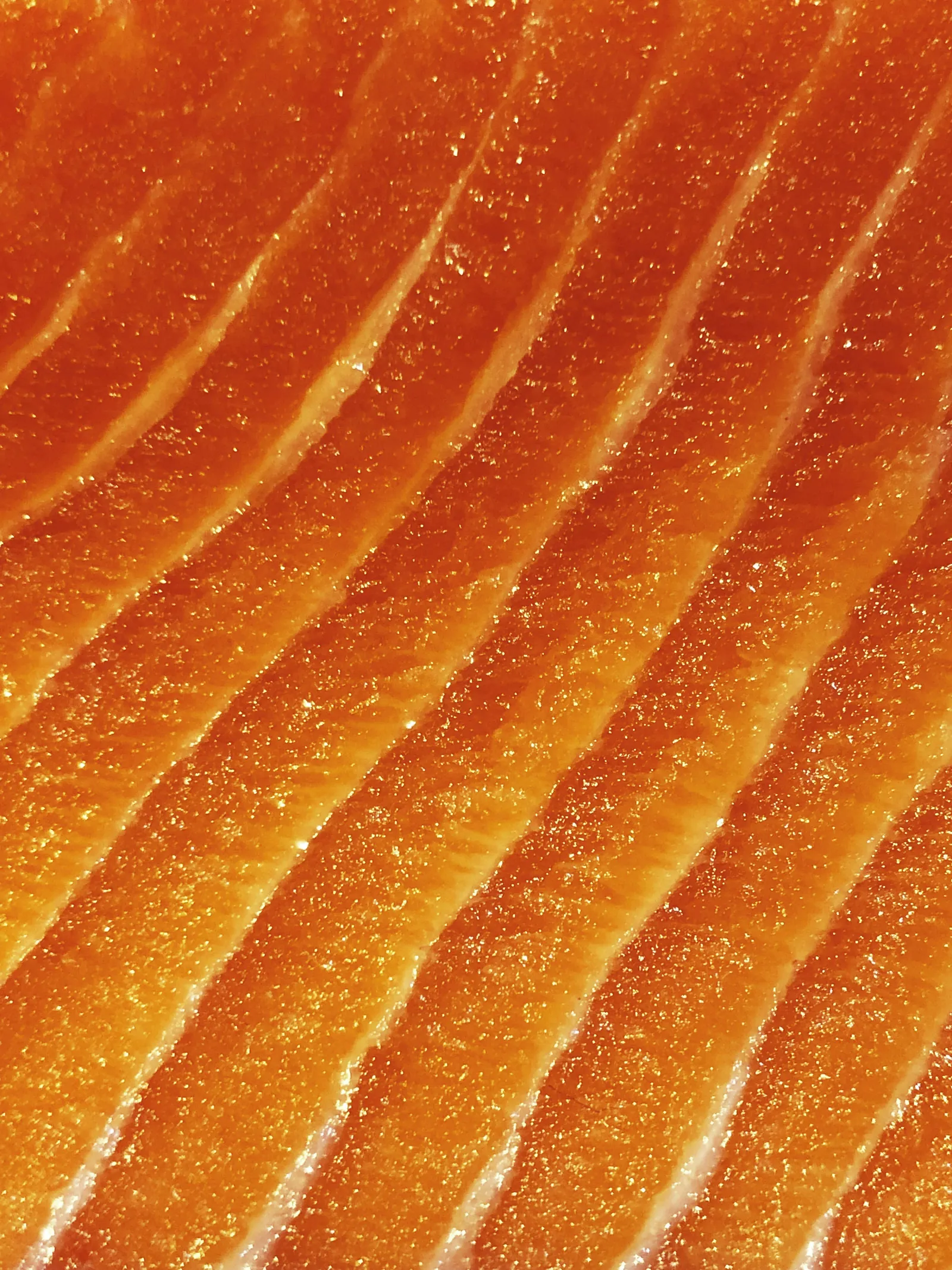 Linee in un filetto di pesce crudo